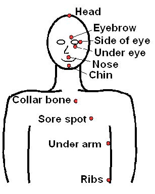 diagram of pressure points